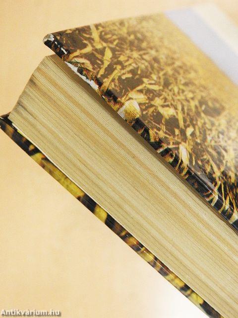 Kukoricáról a termelőknek