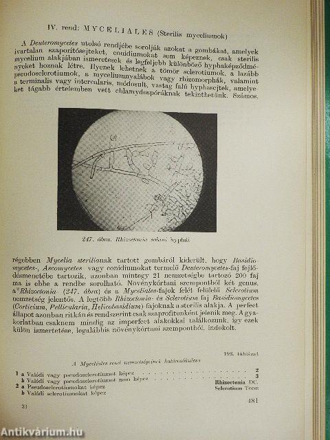 Mezőgazdasági mykologia