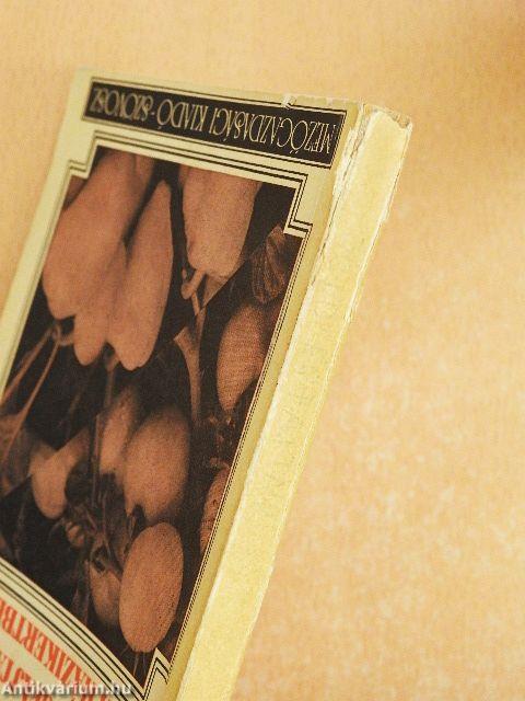 Új, bőtermő zöldségfajtákat a házikertbe!