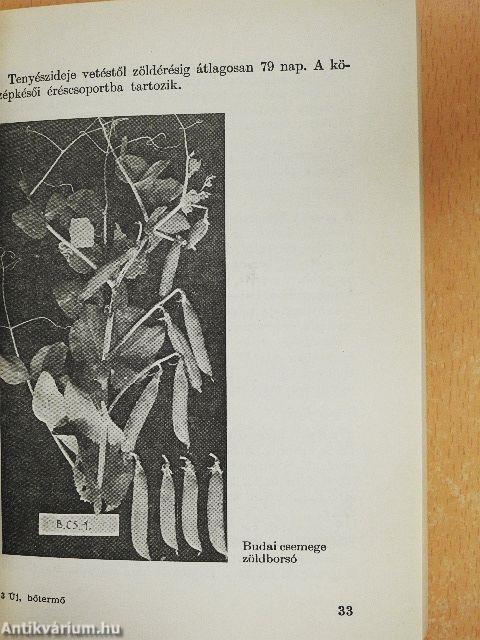 Új, bőtermő zöldségfajtákat a házikertbe!