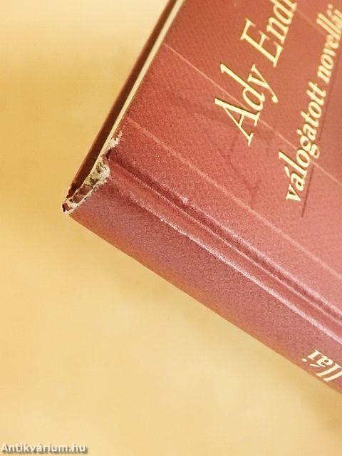 Ady Endre válogatott novellái