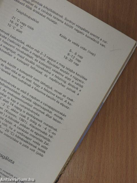 Kukoricáról a termelőknek