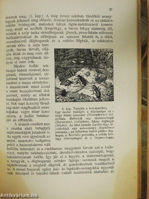 Élet a termőföldben/Kerti séták