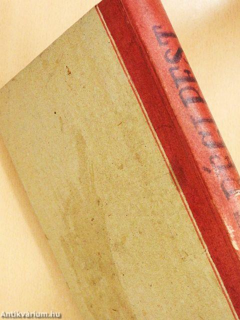 A régi Pest emlékeiből