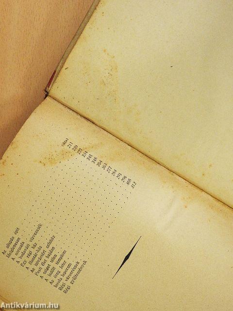 A régi Pest emlékeiből