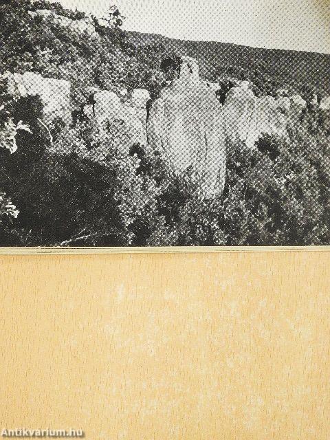 Mecseki séták és kirándulások