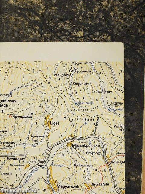 Mecseki séták és kirándulások