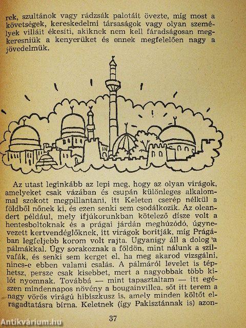 Az Egyenlítőtől délre