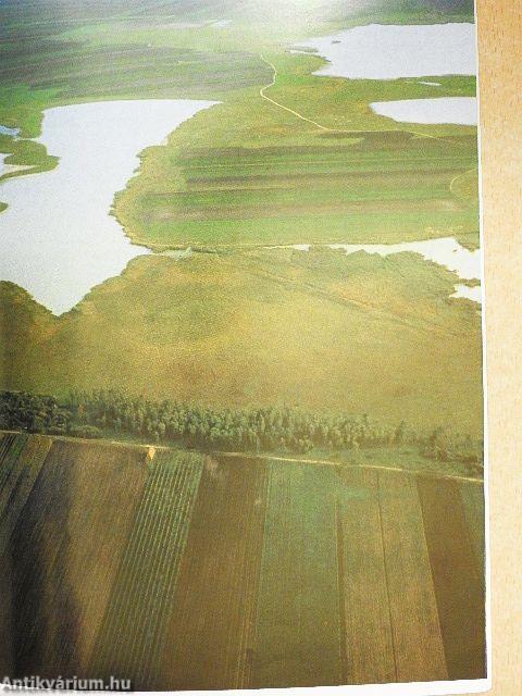 Fertő-tó-Seewinkel, az év vidéke