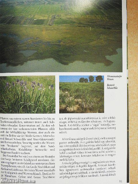 Fertő-tó-Seewinkel, az év vidéke