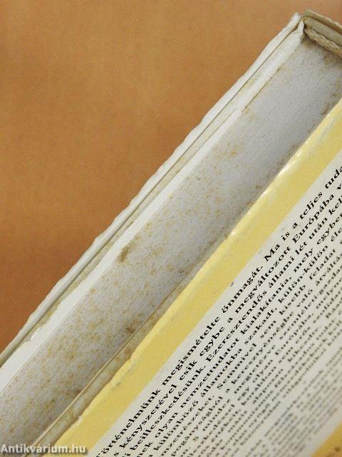 Évek az ezerszázból