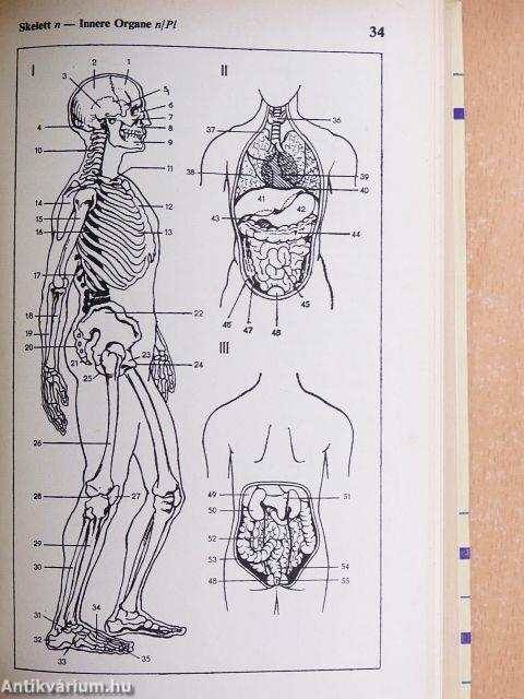 Bildwörterbuch Deutsch