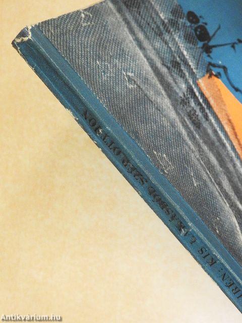 Kis lakásból szép otthon