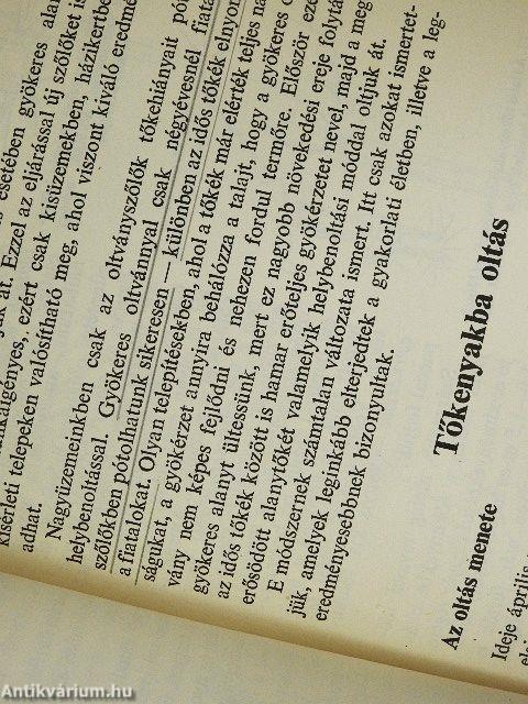 A szőlő helybenoltása, döntése, bujtása