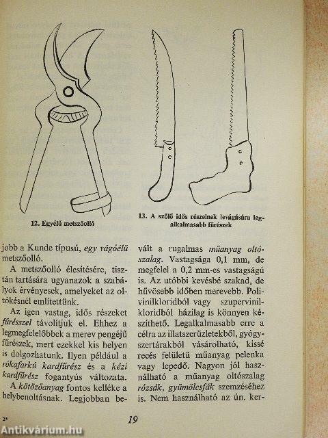 A szőlő helybenoltása, döntése, bujtása