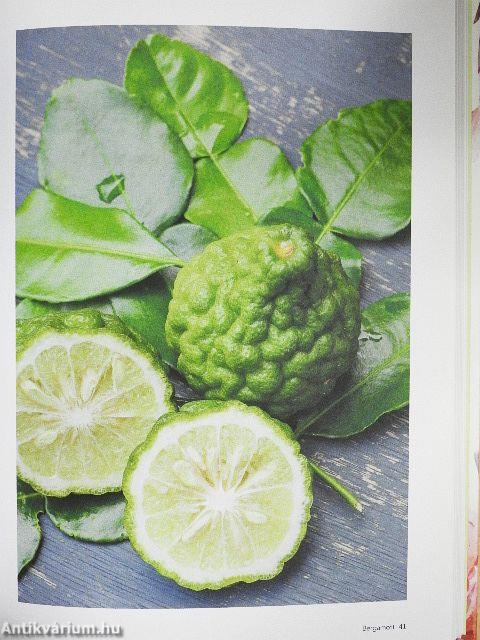 Illóolajok enciklopédiája