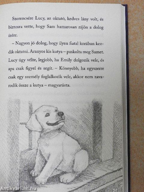 Az ellopott kiskutya