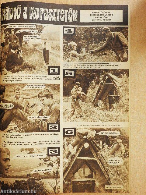 Pajtás 1967. szeptember 14.