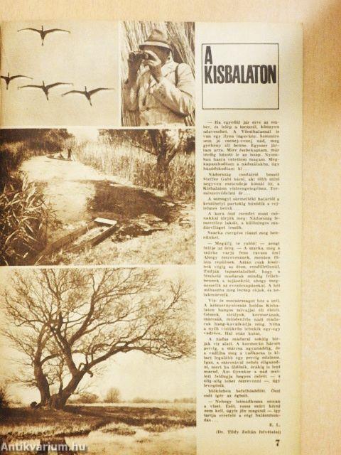 Pajtás 1967. szeptember 14.