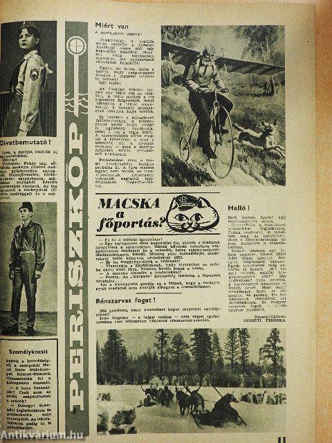 Pajtás 1967. december 7.