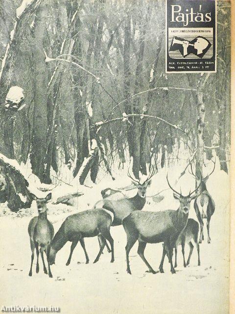 Pajtás 1964. december 16.