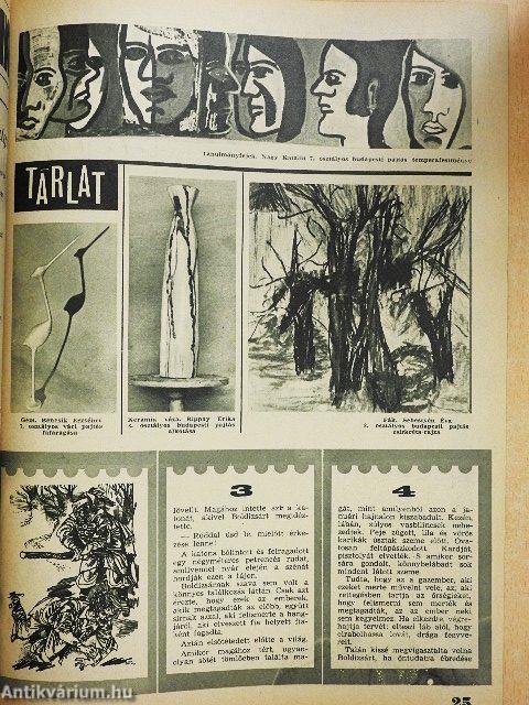 Pajtás 1968. február 8.