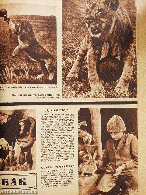 Pajtás 1965. március 25.