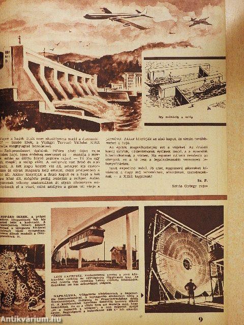 Pajtás 1965. február 11.