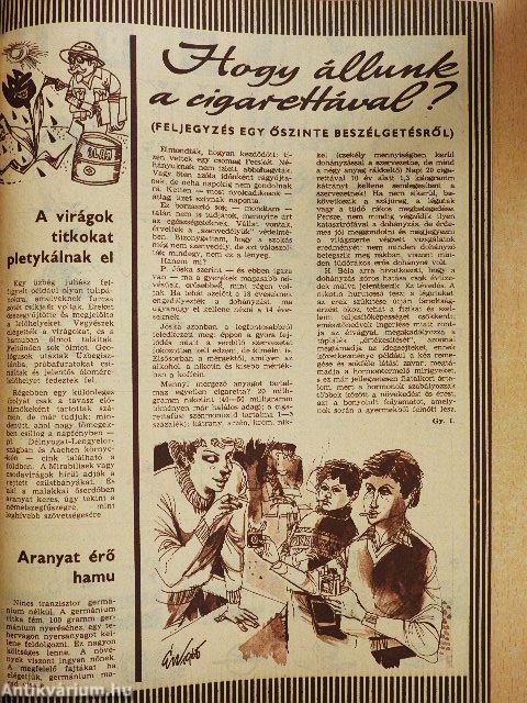 Pajtás 1965. október 28.