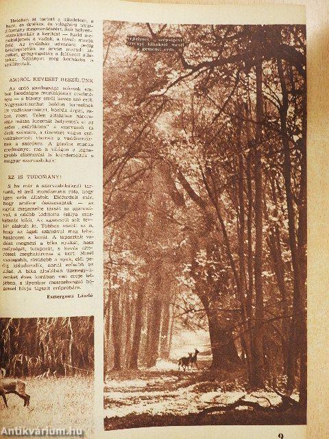 Pajtás 1965. november 11.