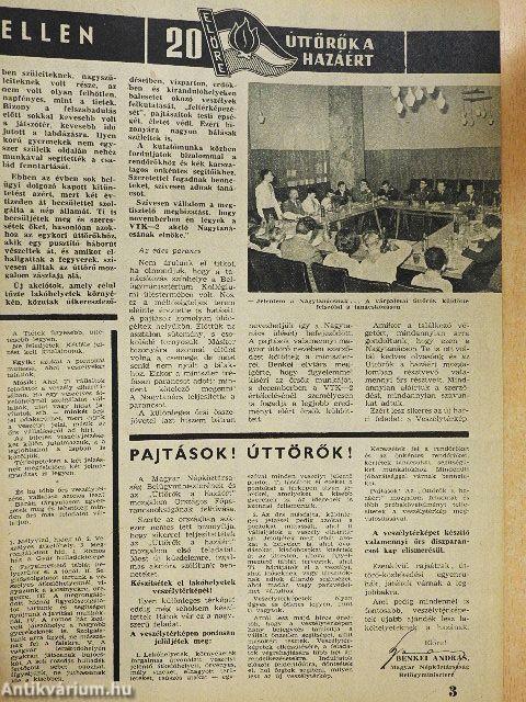 Pajtás 1965. november 11.