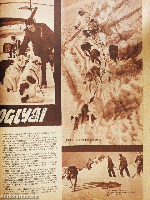 Pajtás 1967. május 25.