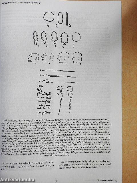 Kisenciklopédia 13.