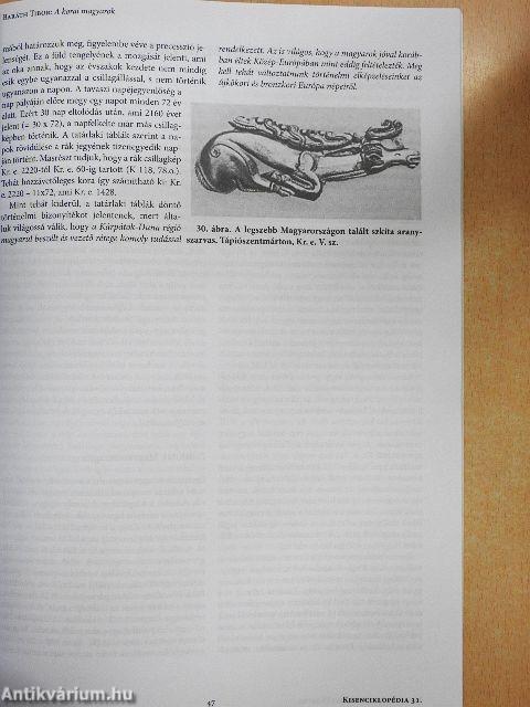 Kisenciklopédia 31.