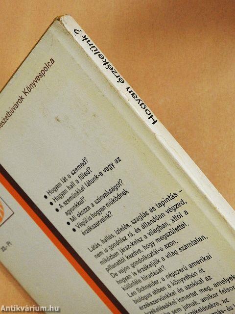 Hogyan érzékelünk?