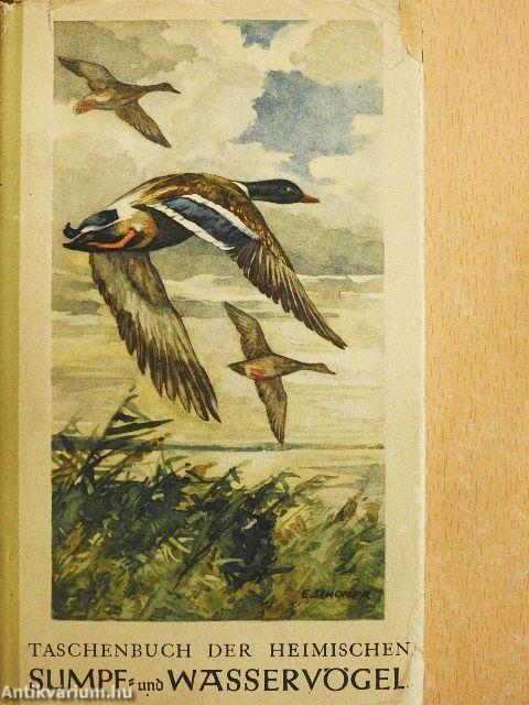 Sumpf- und Wasservögel