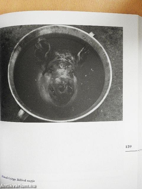 Alibi hat hónapra 1.