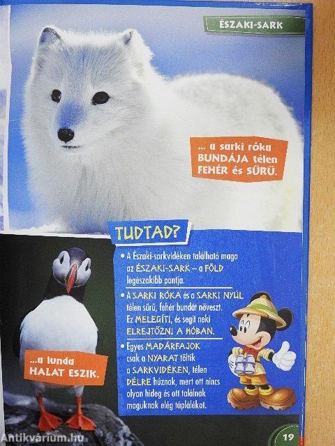 Disney Állati Szafari 4.