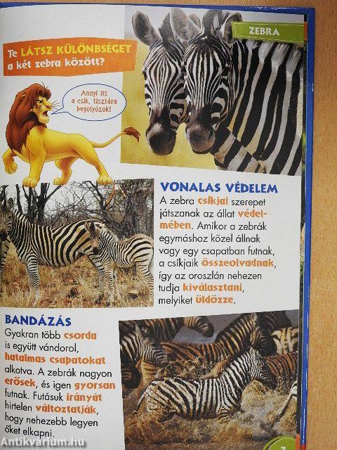 Disney Állati Szafari 4.