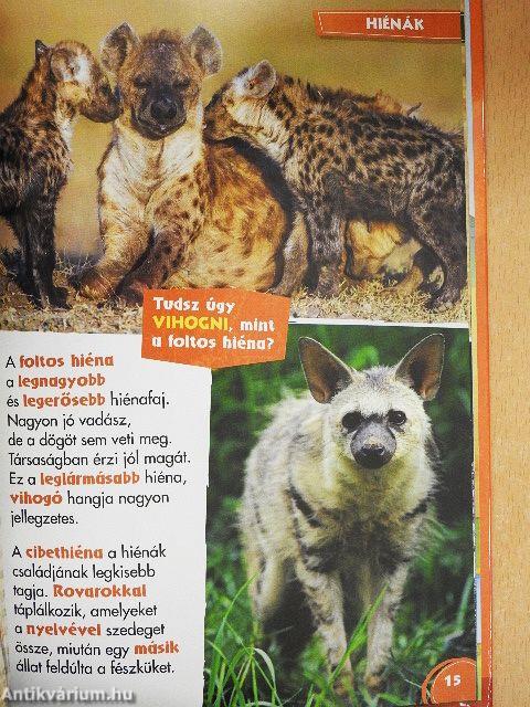 Disney Állati Szafari 43.