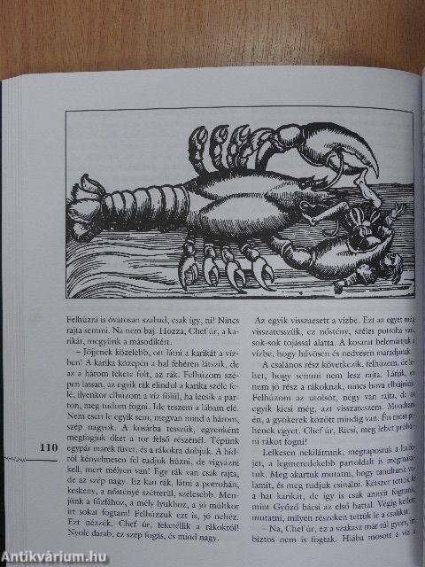 Alibi hat hónapra 1.