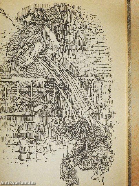 Aki örökké bujdosott