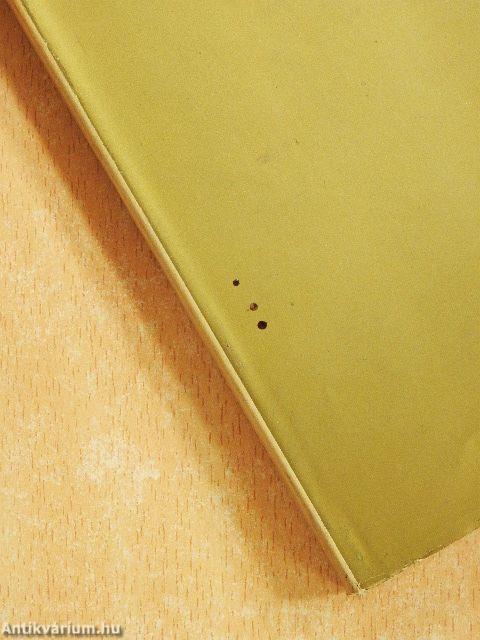 Egy világváros születése