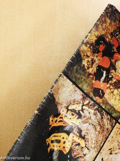 Állatvilág 1981. január-december