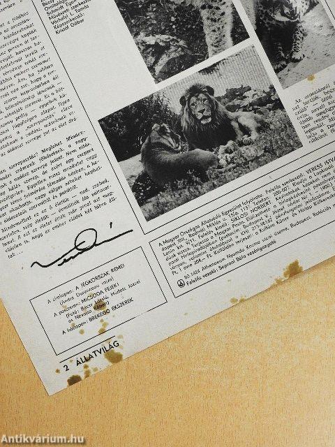 Állatvilág 1981. január-december