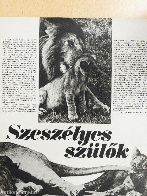 Állatvilág 1981. január-december