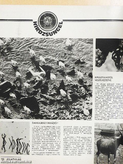 Állatvilág 1981. január-december