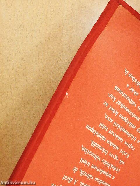 Minerva nagy hímzőalbum