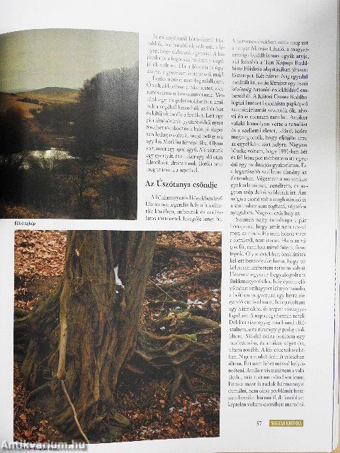 Magyar Krónika 2017. január