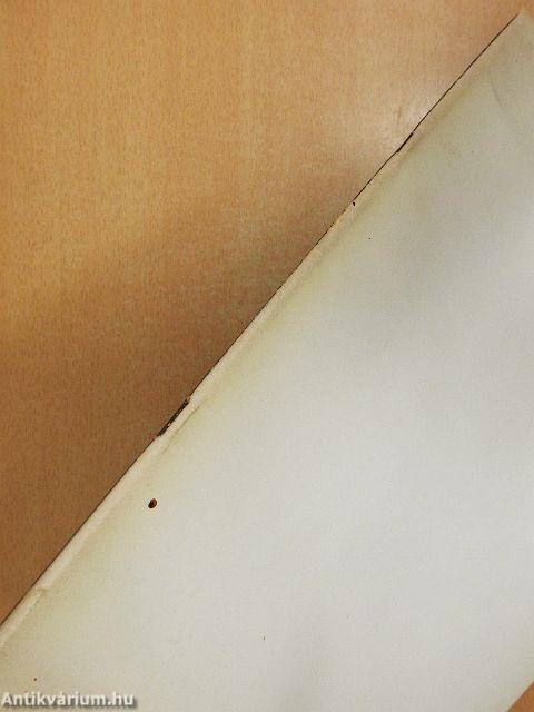 Alkotás és genetika